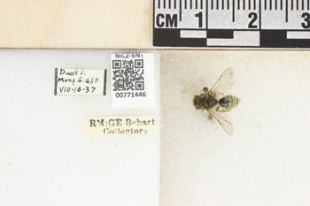 Media type: image;   Entomology 771446 Aspect: Labels
